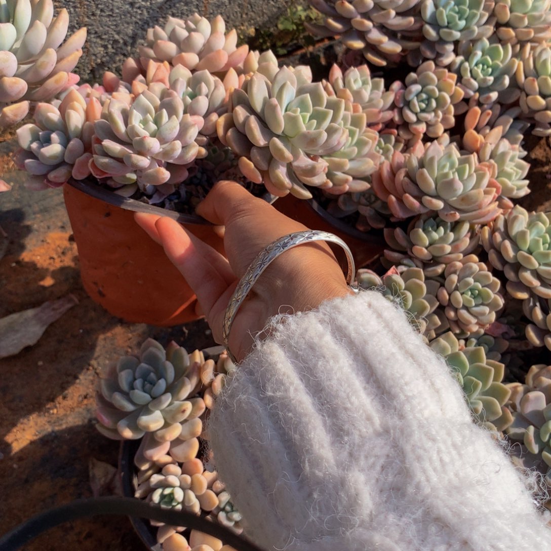 正装克洛伊7.99带盆土