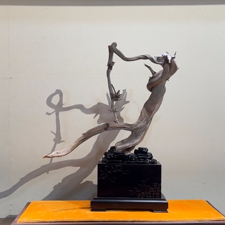 游***梦柏木（崖柏）嗯、不能给她任何压力都让