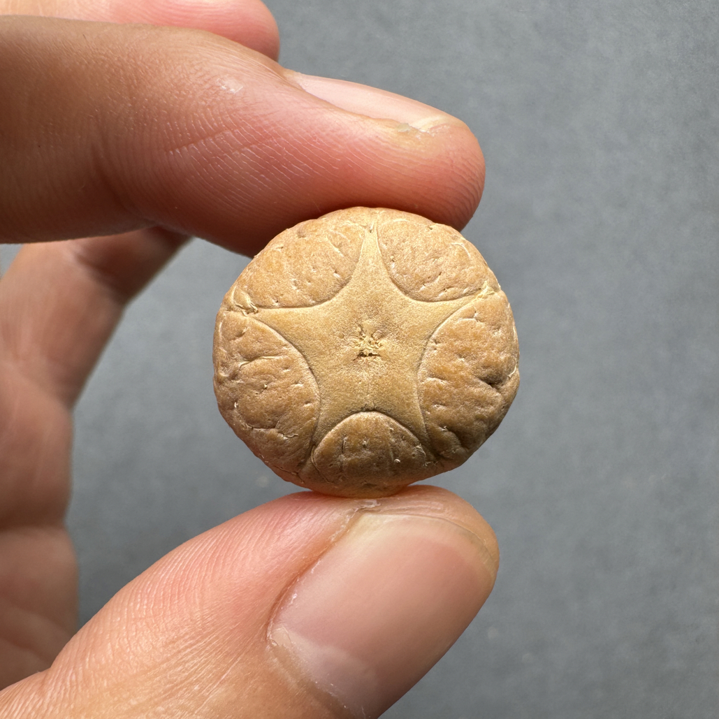 精品21+五星上将菩提凤眼菩提三通佛头，非质量问题开孔不退