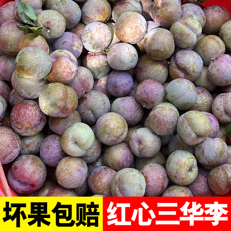 【清园价】新鲜现摘信宜红心三华李1斤2斤3斤5斤