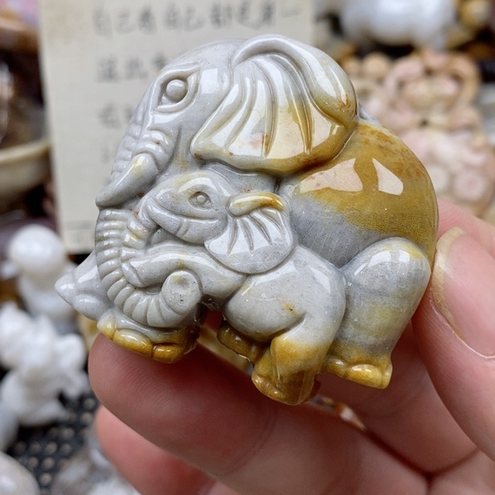 硅化珊瑚（珊瑚玉）未镶嵌颈饰