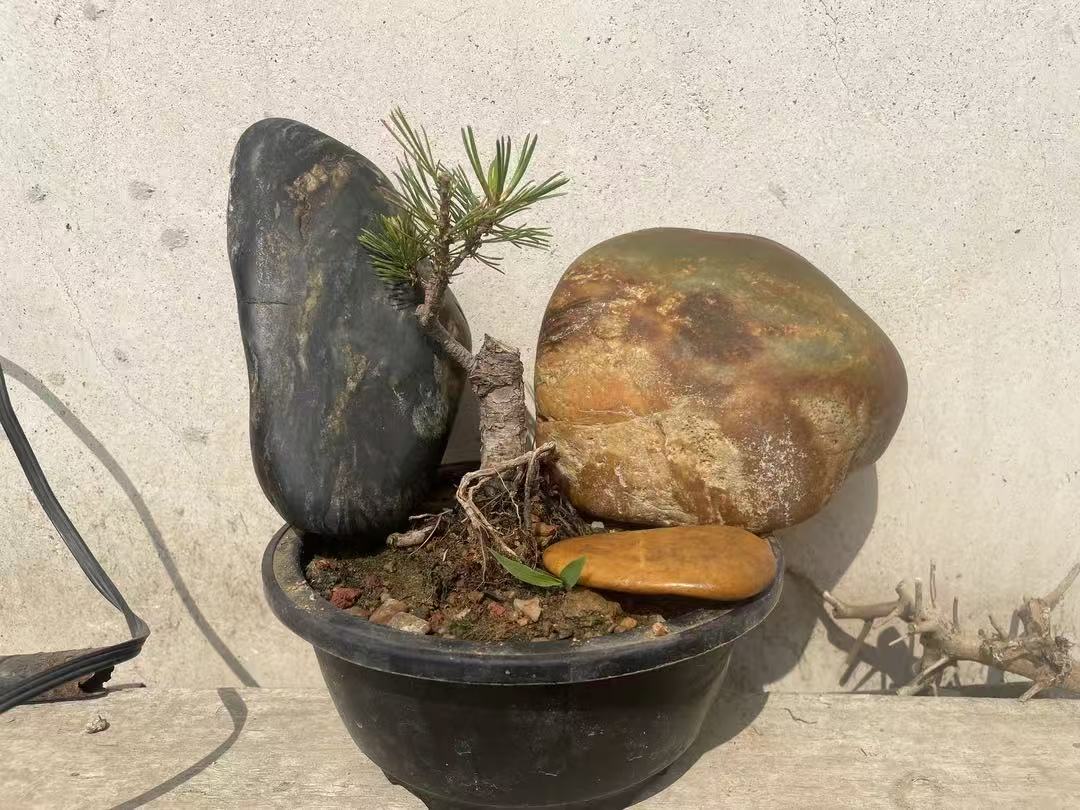 新疆石头。泥石 彩石，风凌石 石头各种石头。