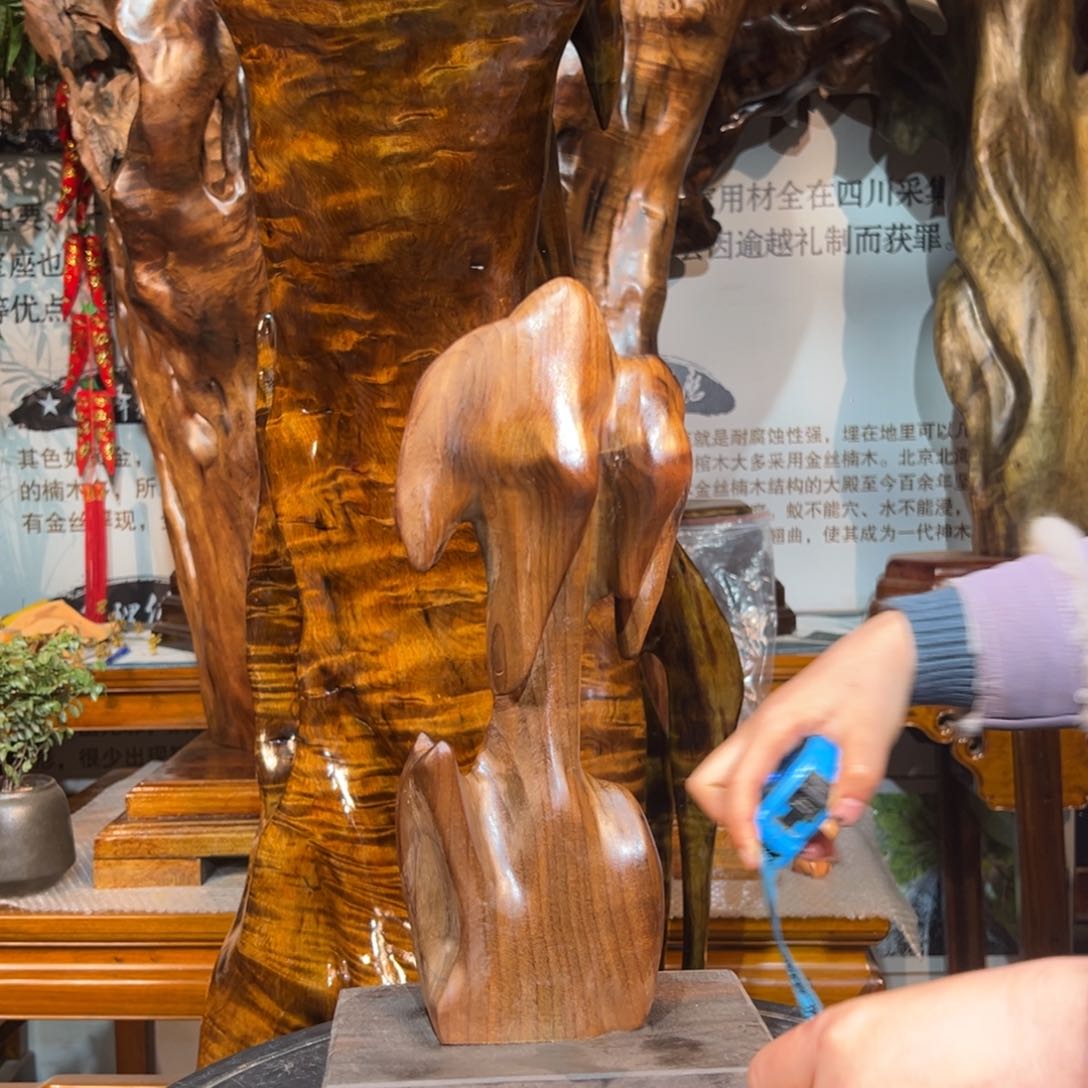 金丝楠冬****?1111111111111111