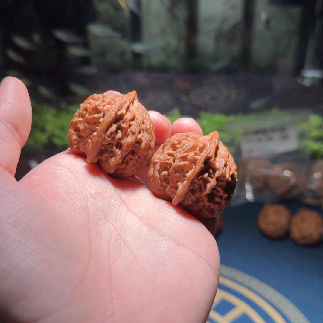 2658号37遵化马蹄文玩核桃