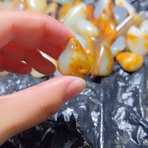 和田玉（糖玉）未镶嵌颈饰10克