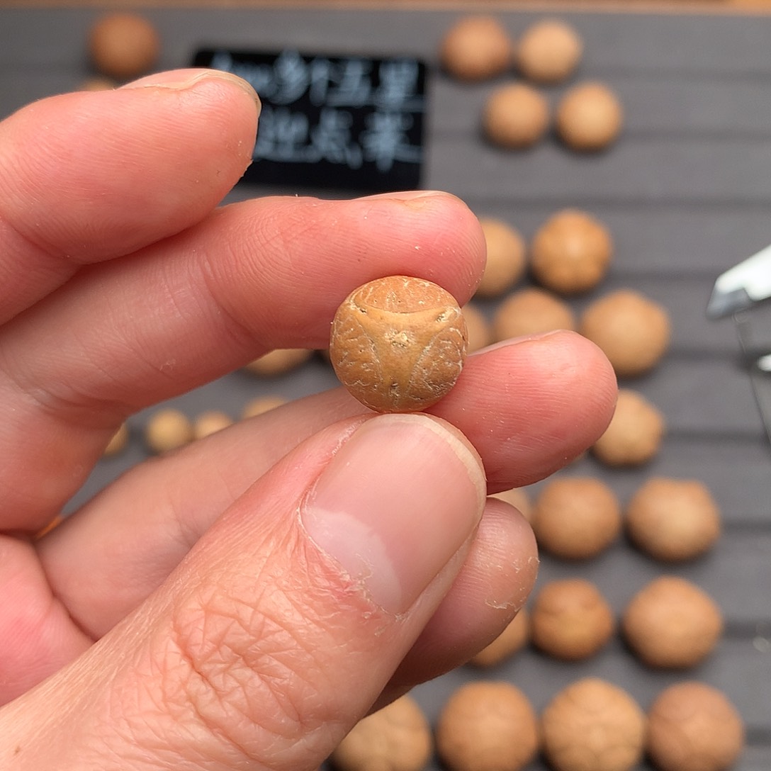 吊坠凤眼菩提Q***o13+实心龙。非质量问题开孔不退