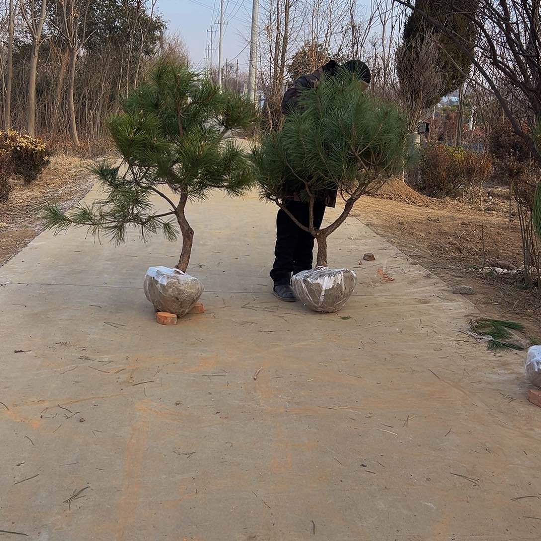 孤*仙88888888888888888