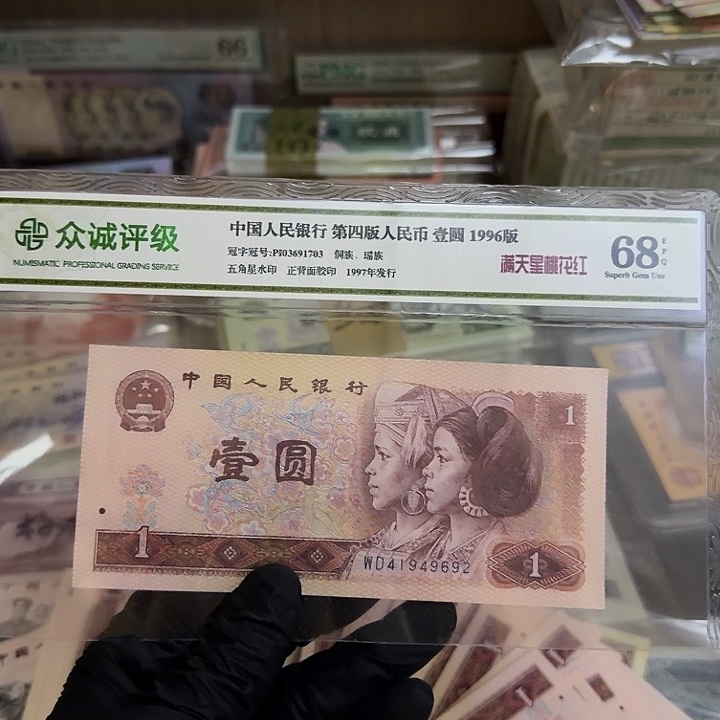 退市人民币，金光龙鳞11