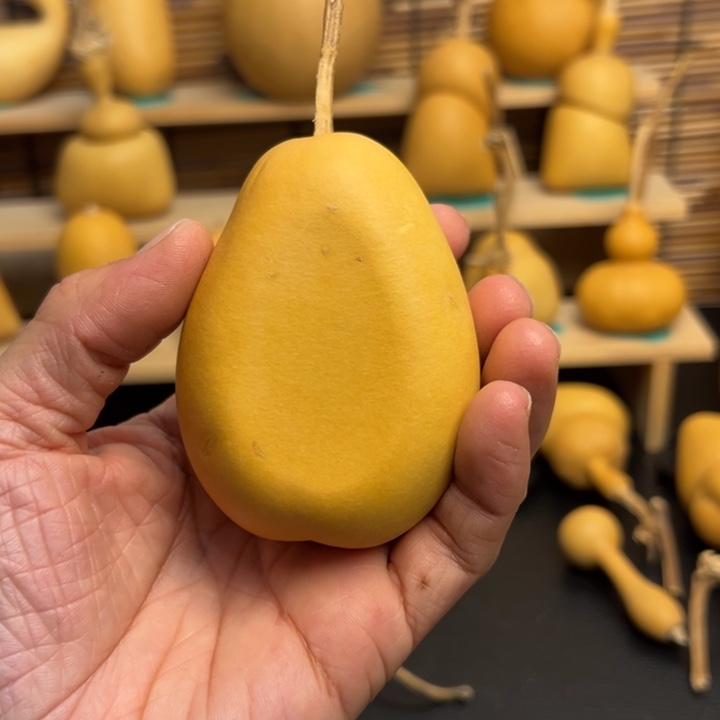 年**鱼葫芦葫芦葫芦葫芦葫芦葫芦