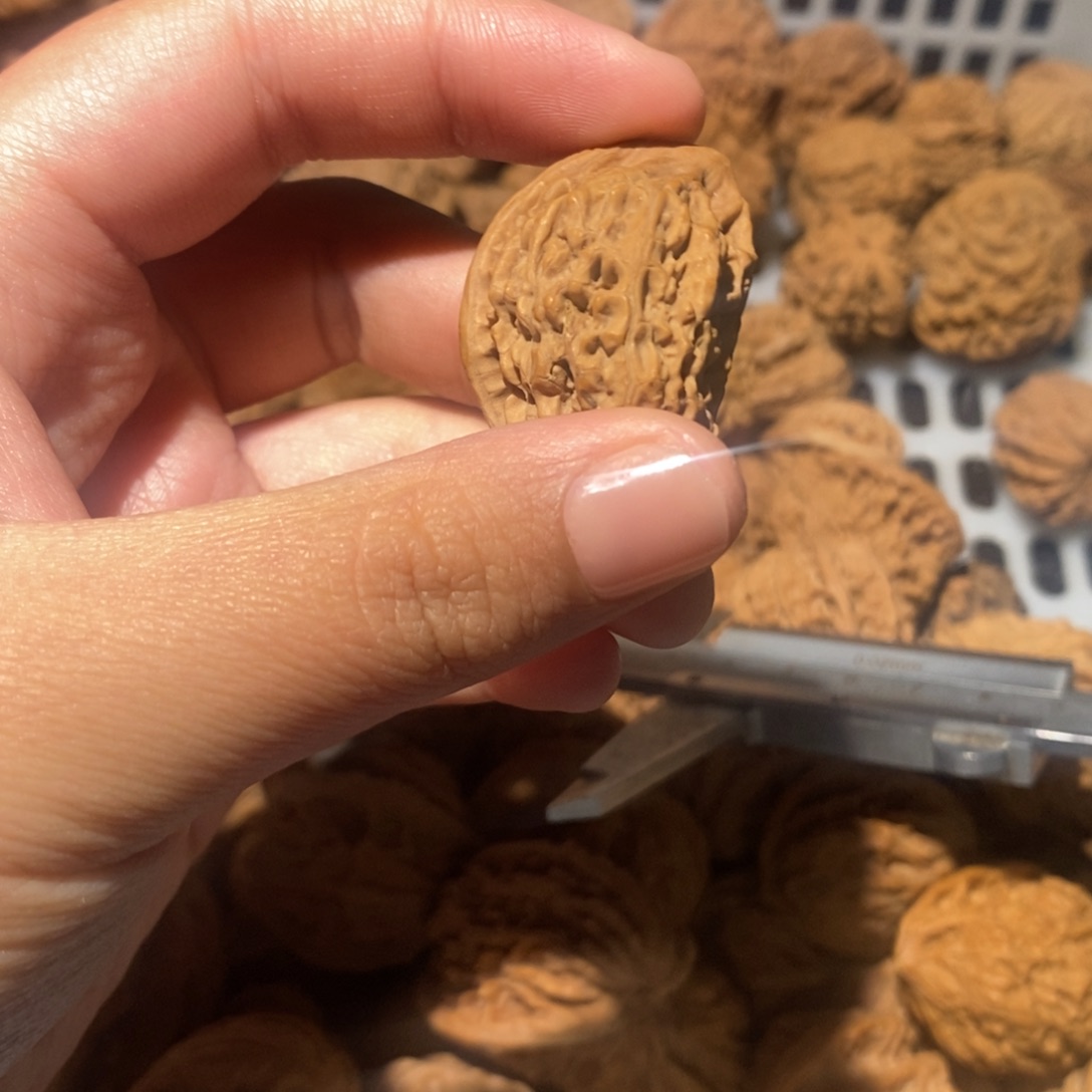 L***S文玩核桃吊坠文玩