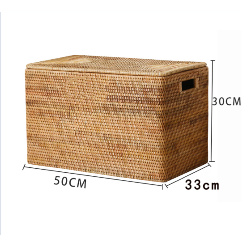 038带盖卡扣双把手收纳箱尺寸:50*33*30cm整理箱储物盒家用猫咪