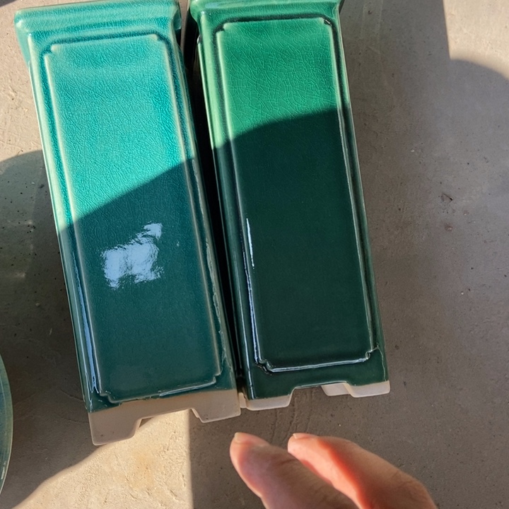 花盆花盆花盆花盆