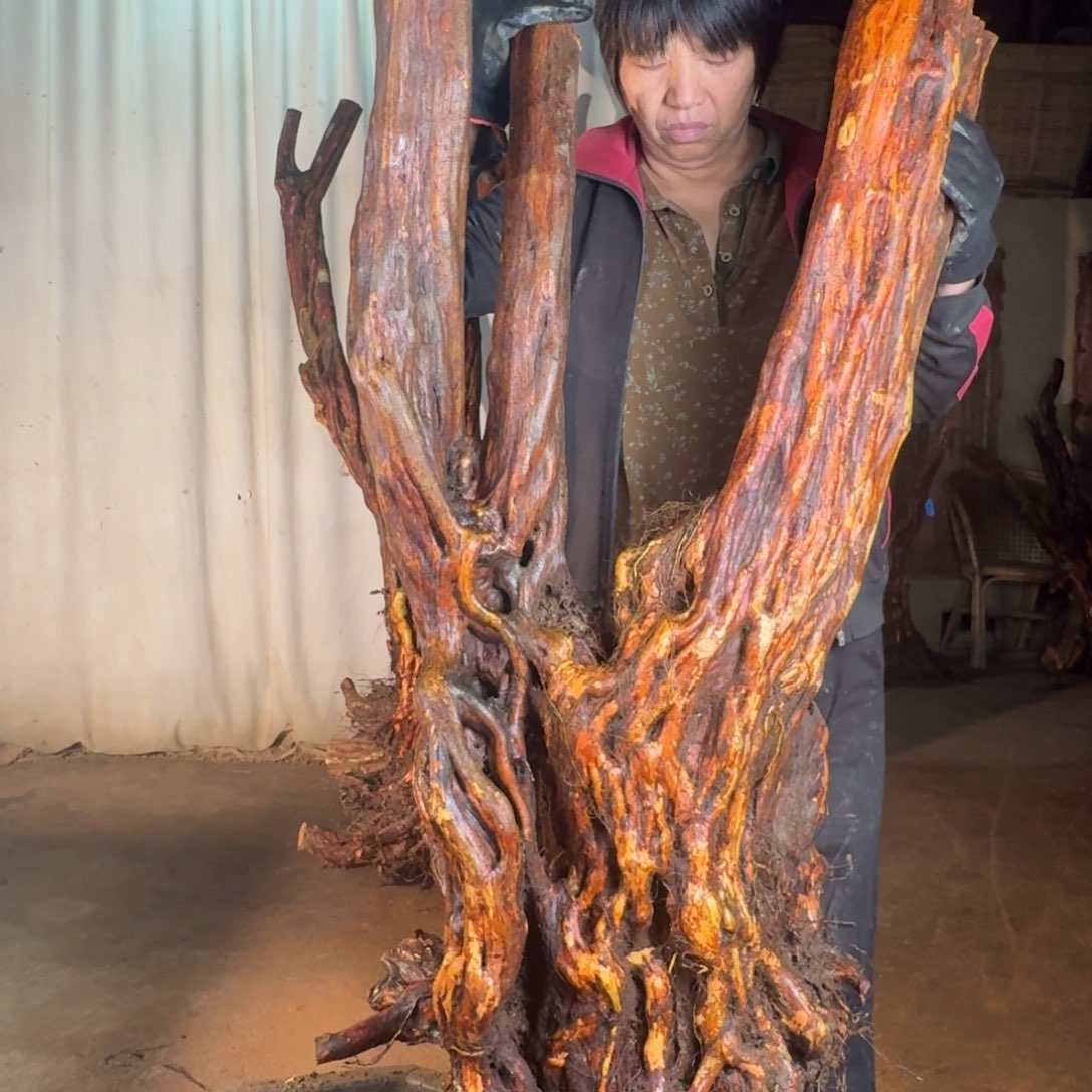 蒲***华888888888888888888