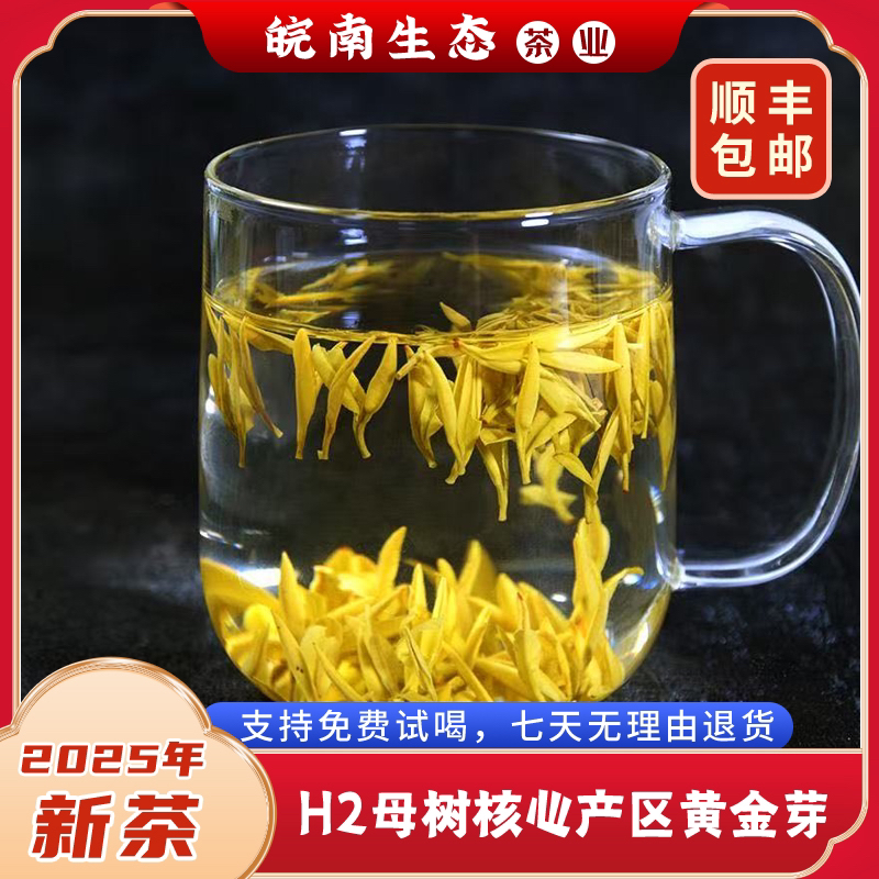 【皖南生态】2025-H2观音桥村母树核心产区黄金芽