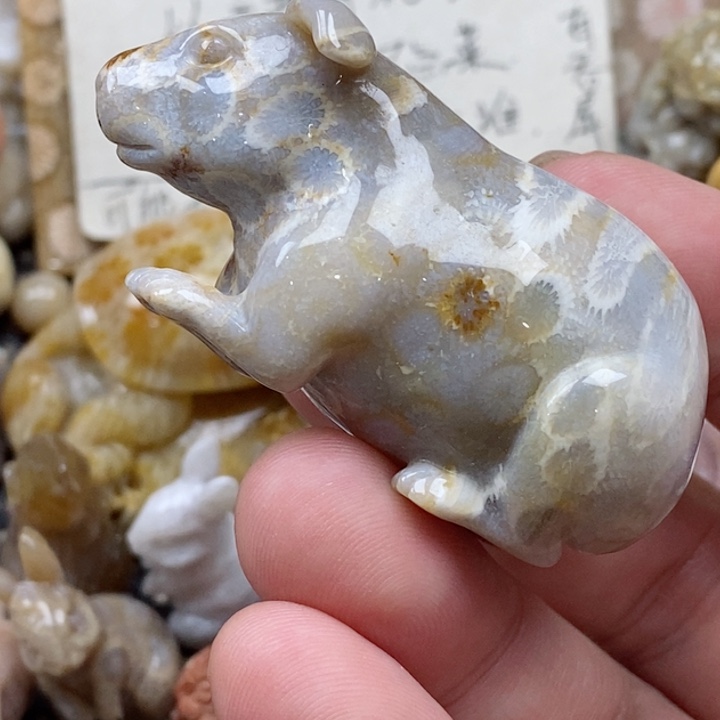 颈饰未镶嵌硅化珊瑚（珊瑚玉）