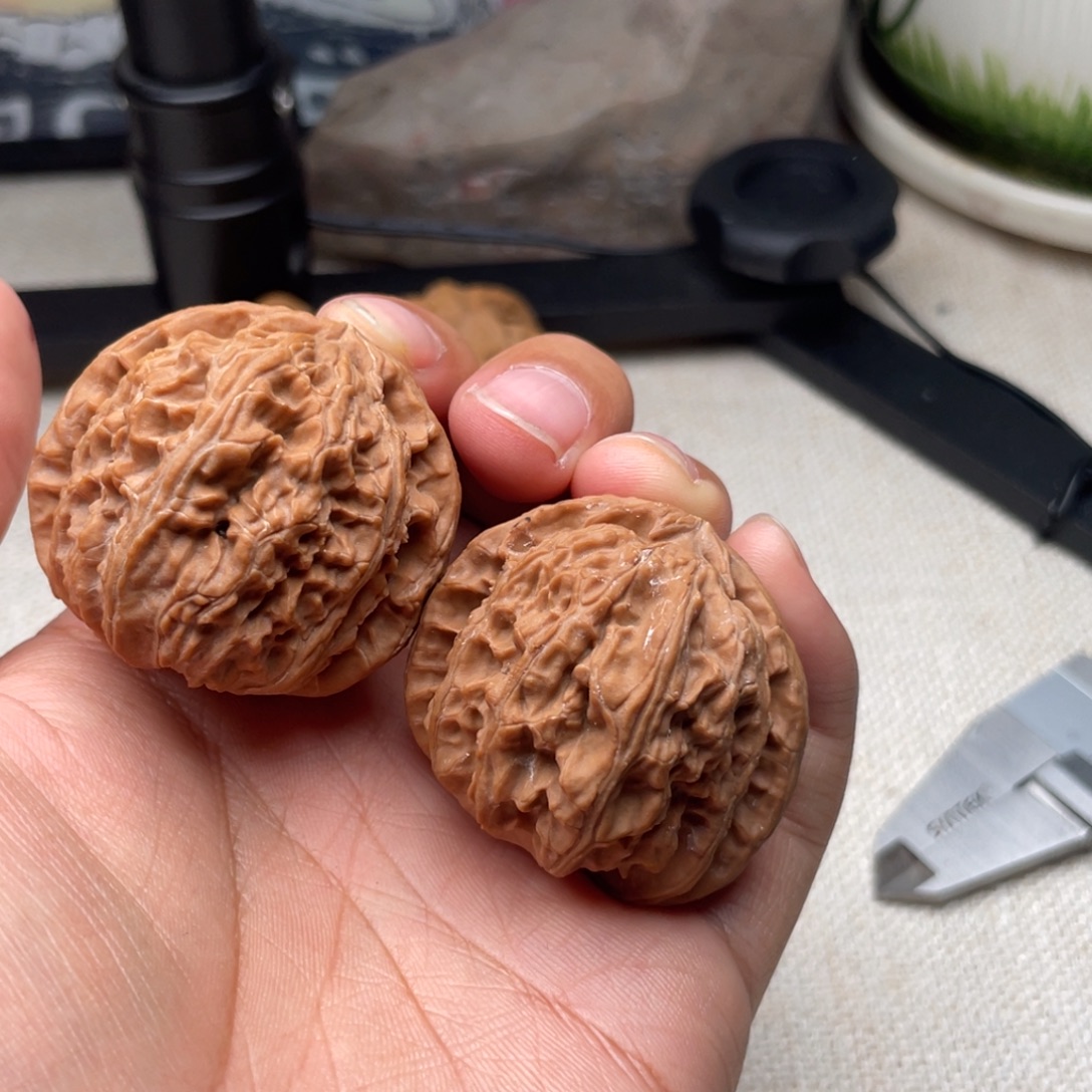 F***L把件文玩核桃白狮子磨盘