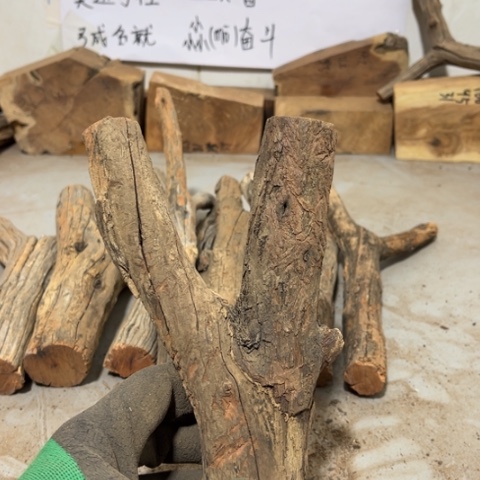 大果紫檀（缅甸花梨）石**转