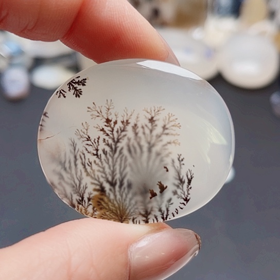 未镶嵌玛瑙/玉髓珠宝奇石