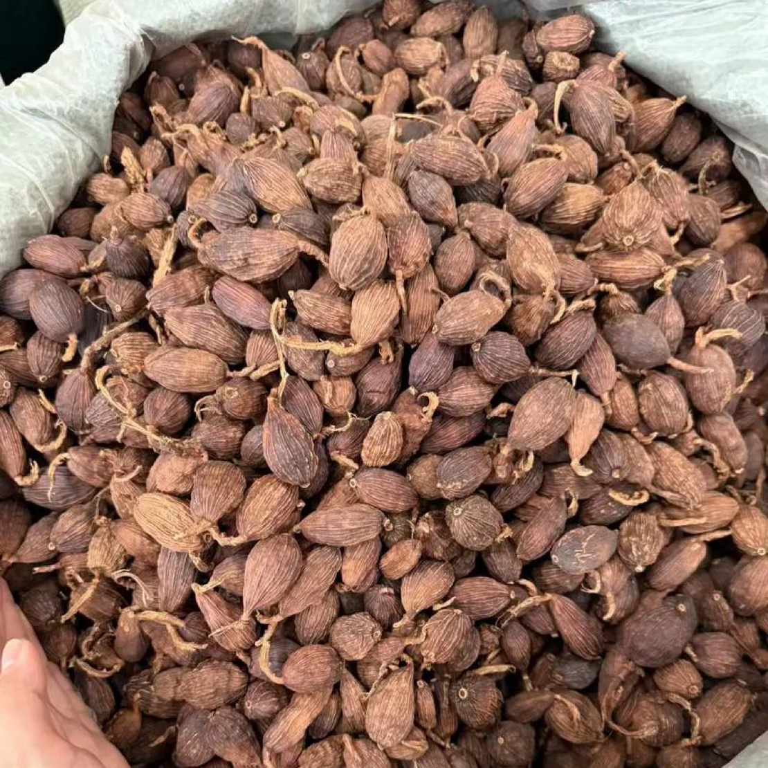 云南草果大颗粒卤肉炖肉去腥香辛调料干货