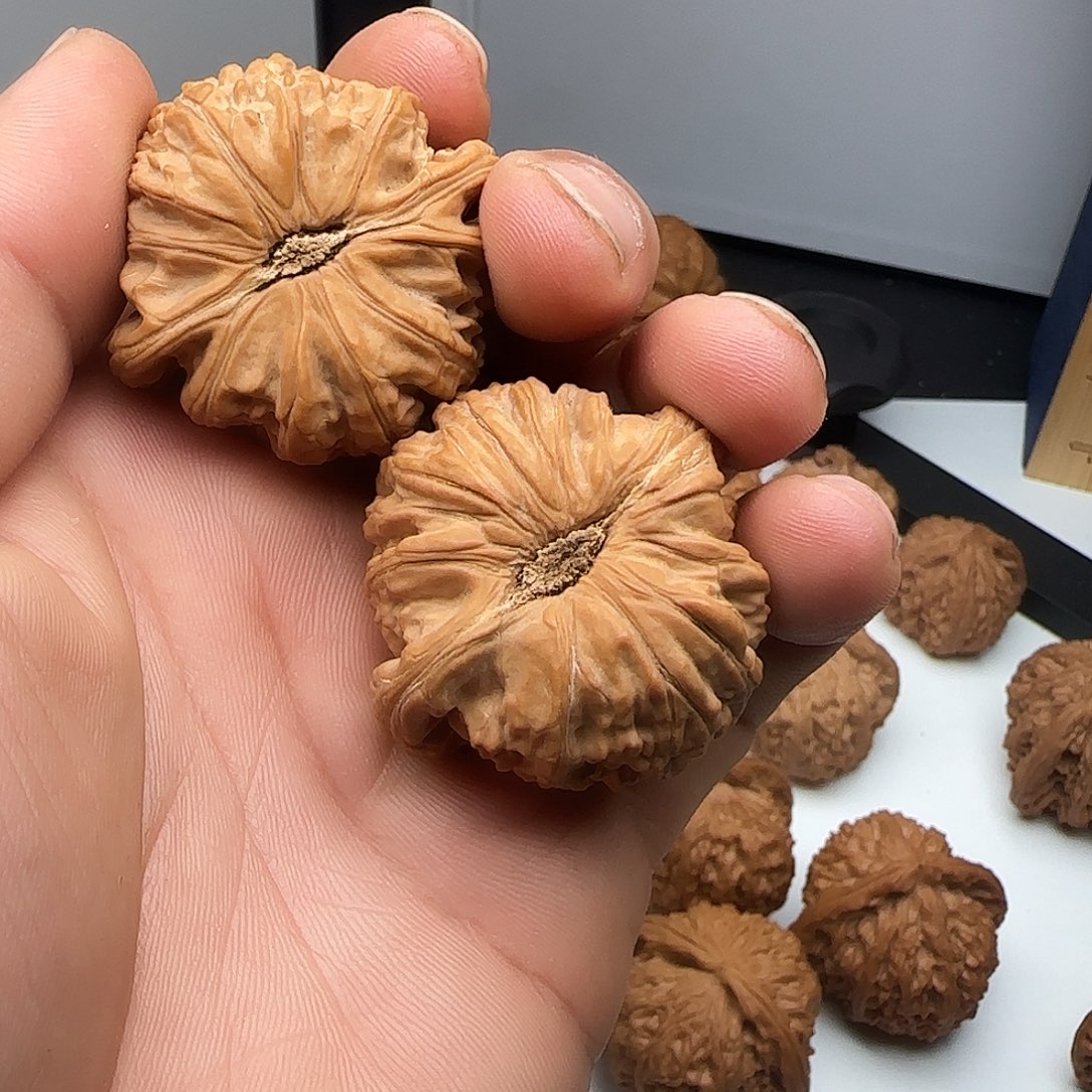 c***l吊坠文玩核桃0002白狮子白狮子