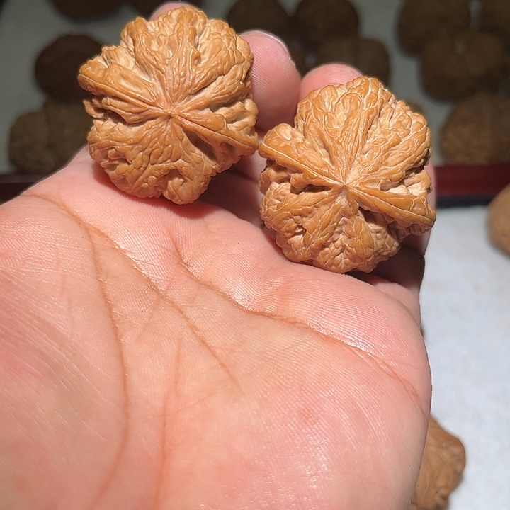 木41平谷大粗筋。        