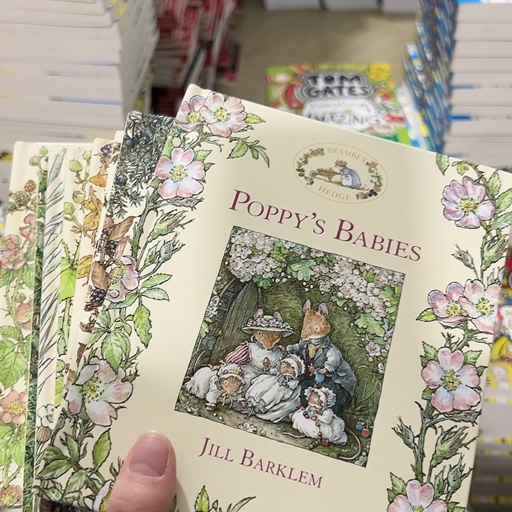 野蔷薇村的故事8本