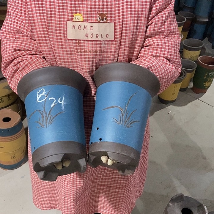 紫砂花盆紫砂花盆