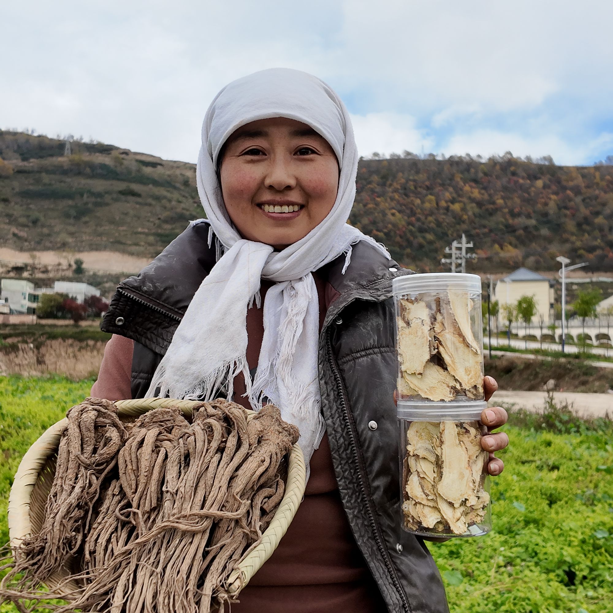 甘肃岷县精选整根 无硫当归头片可煲汤养生佳品