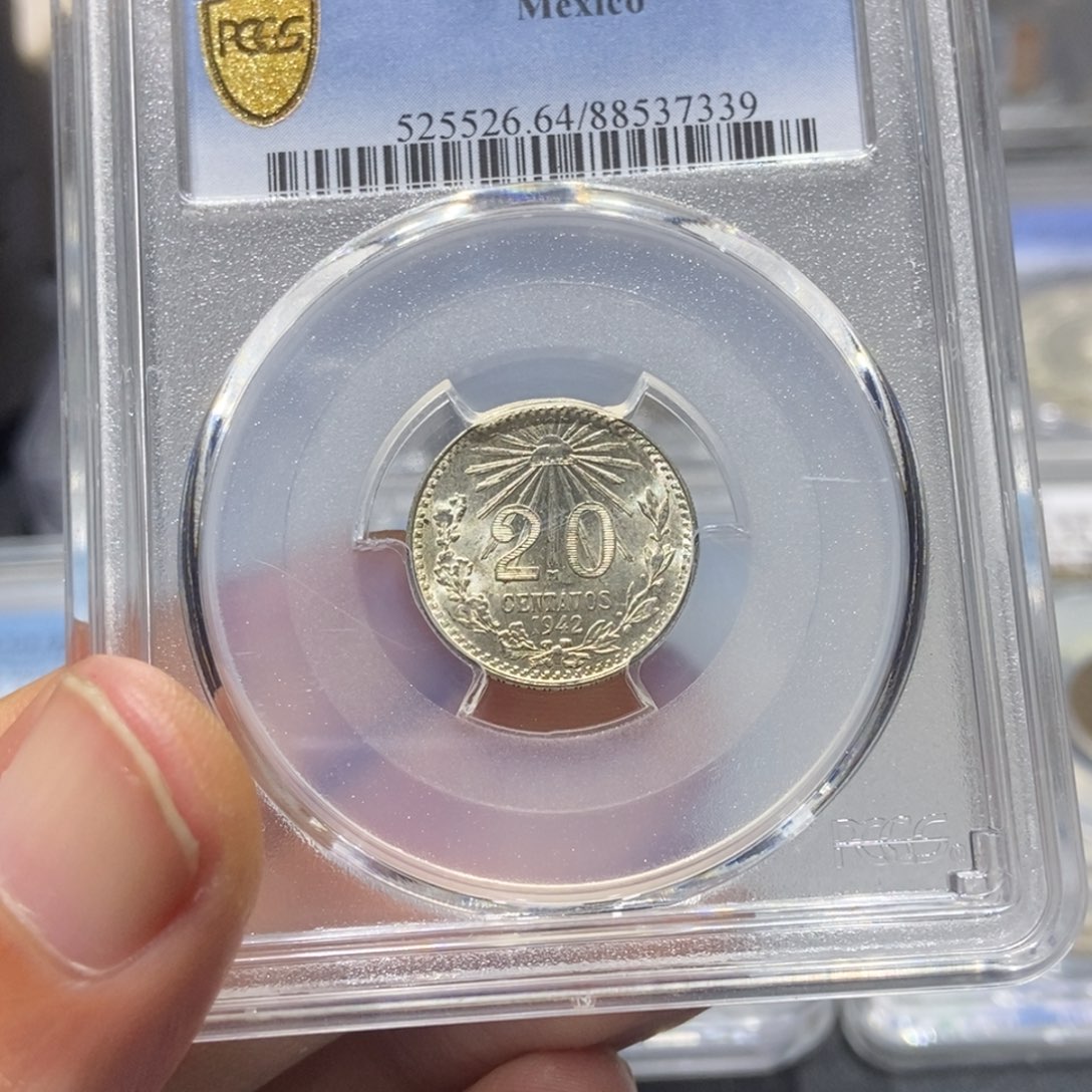 银小老鹰/国福泉信/37339