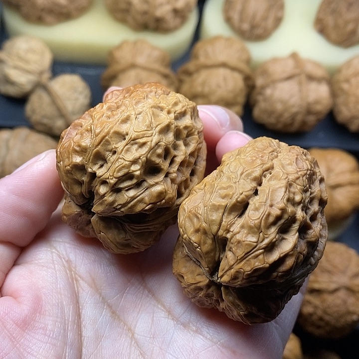 吊坠桃核霸王龙43尺