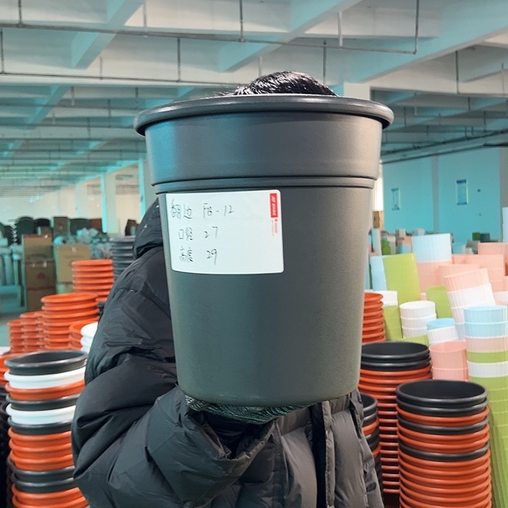 特价翻边口27高29黑色无托5只