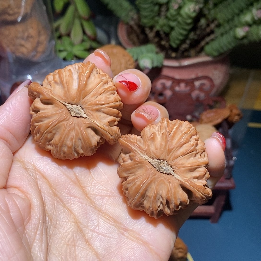 文玩核桃把件白狮子43