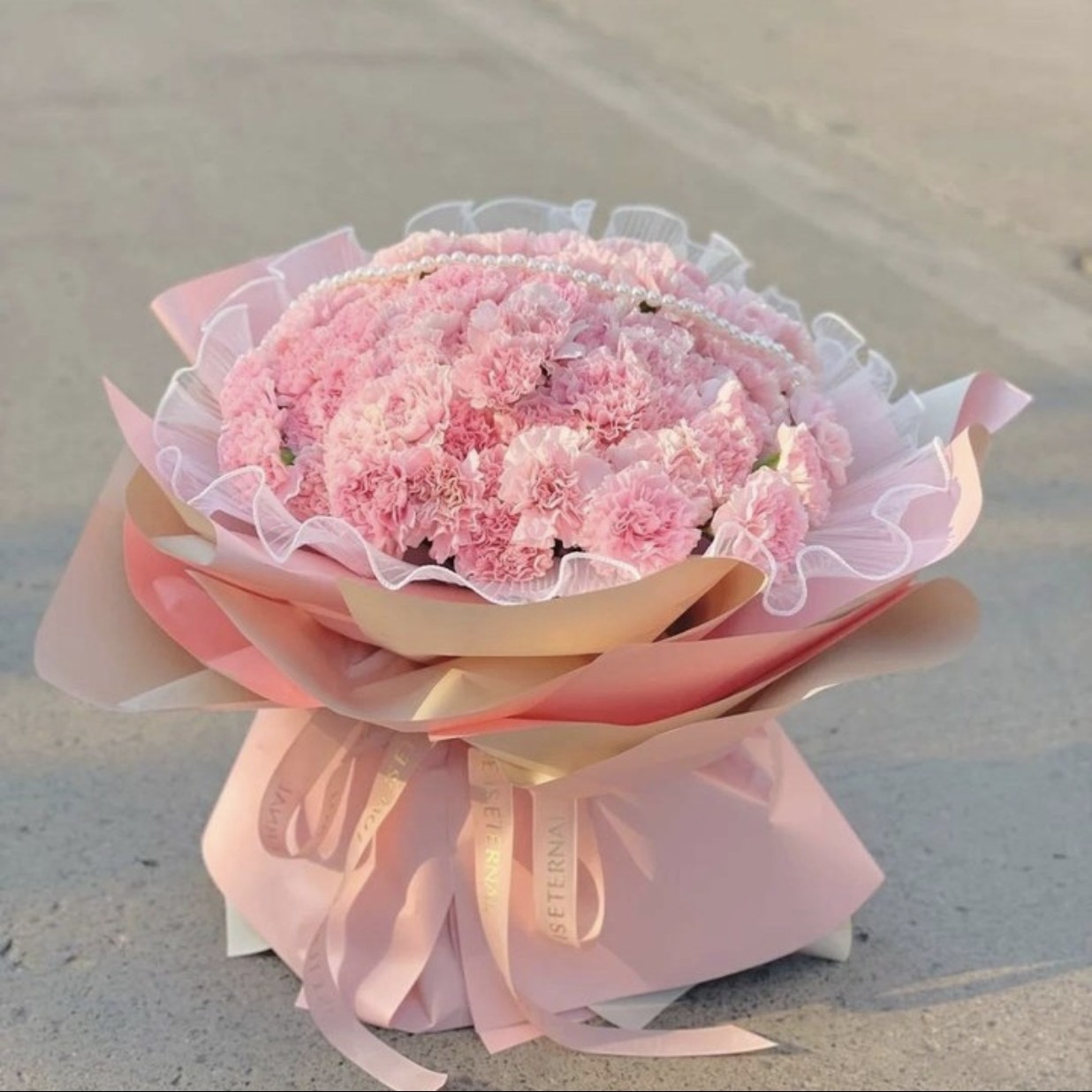 【暖暖情谊】66枝粉康乃馨大花束送花上门生日礼物送长辈祝福妈妈