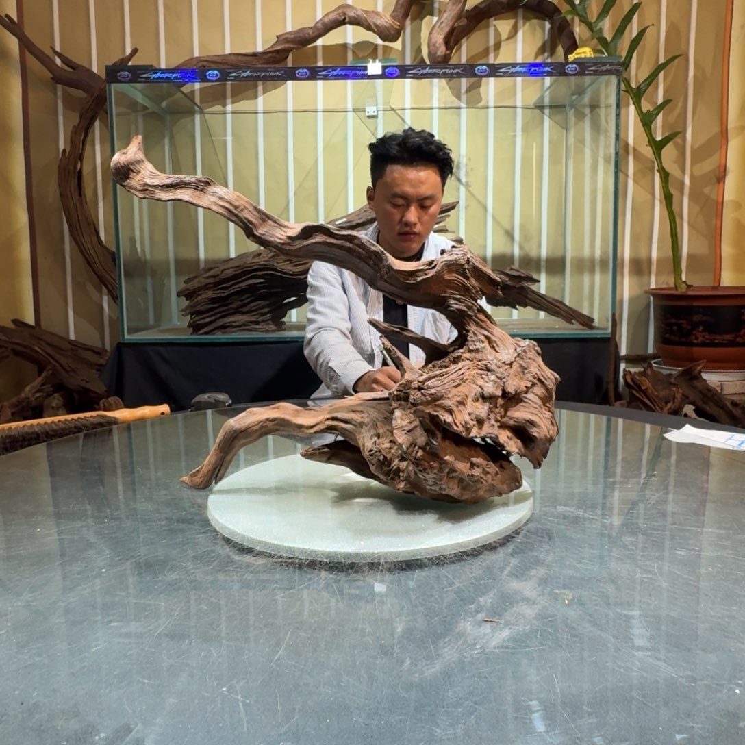 德***和柚木一物一拍鱼缸造景