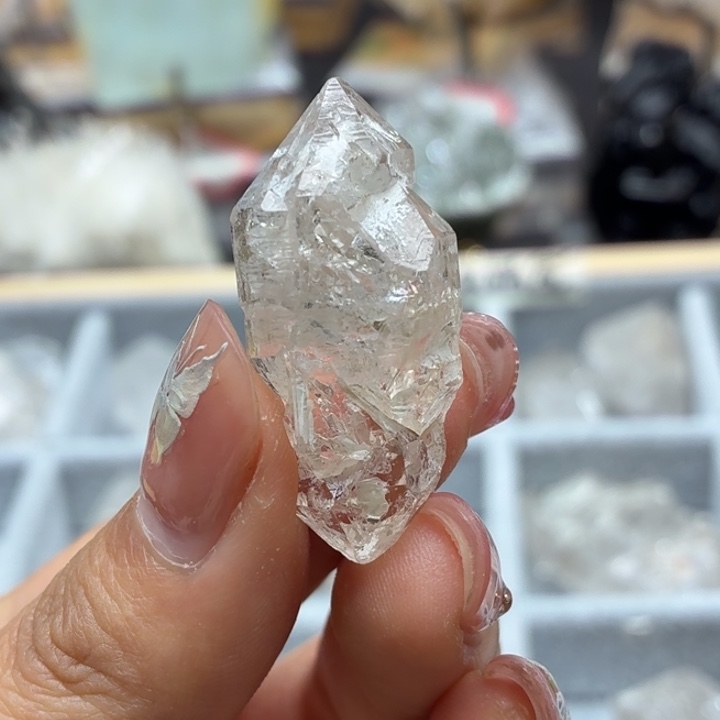 有机玻璃骸骨骨干