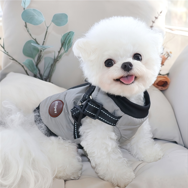 自选白博美狗狗带衣服