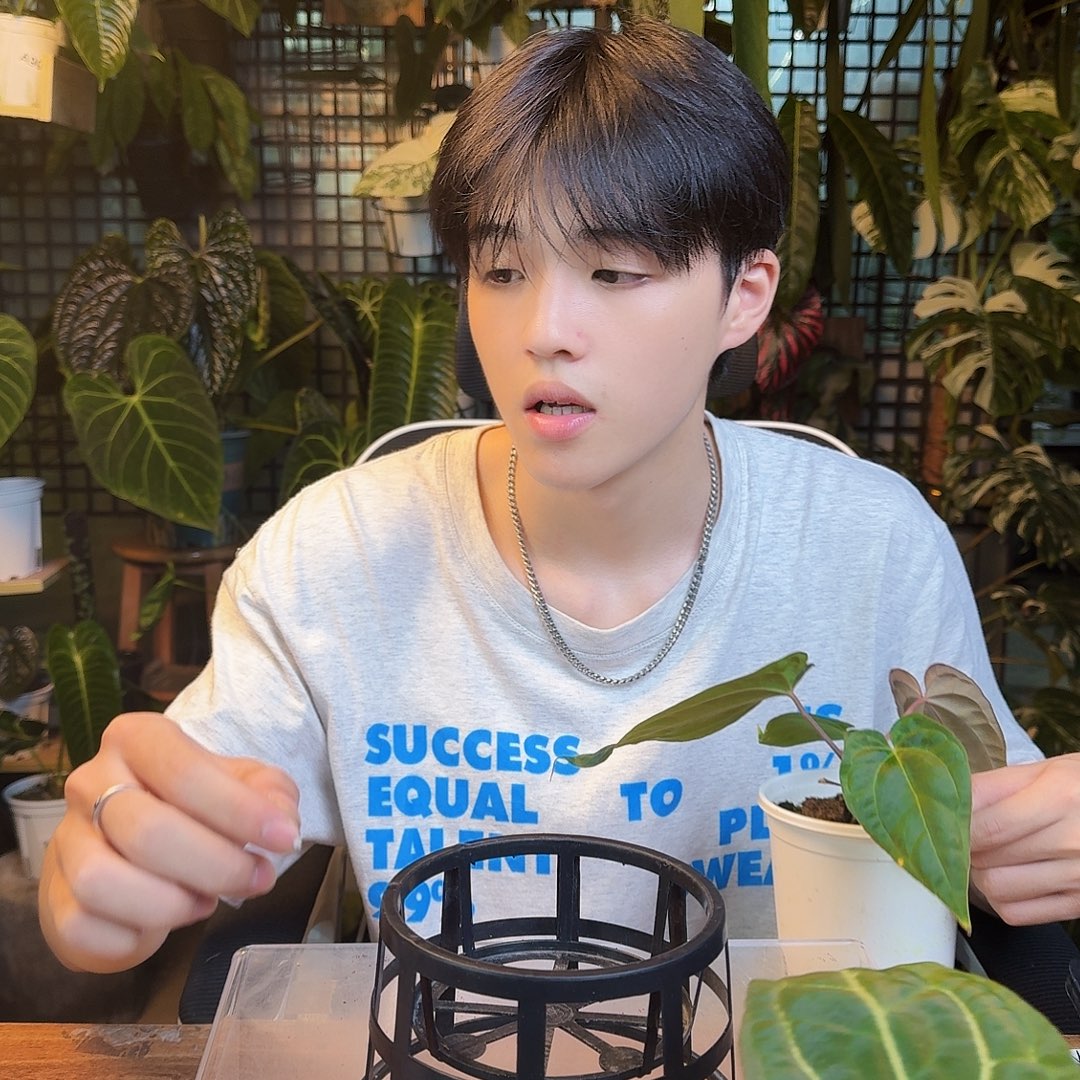 ****.完全开放一物一拍A121