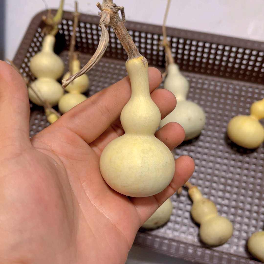 用***5感谢大哥支持兄弟，不保