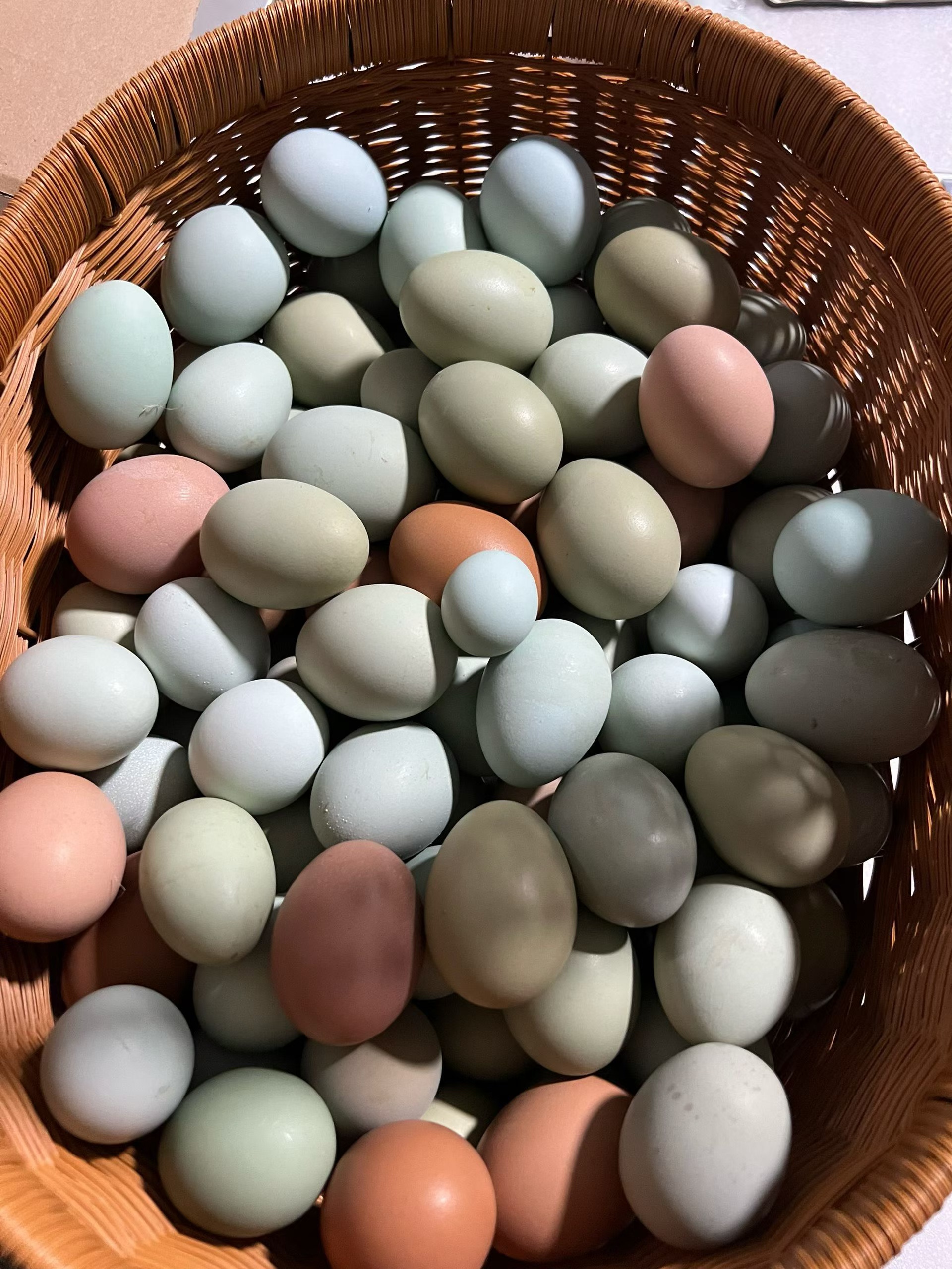 40枚跑山鸡蛋生态散养源头顺丰发货售后无忧（1箱5斤左右）