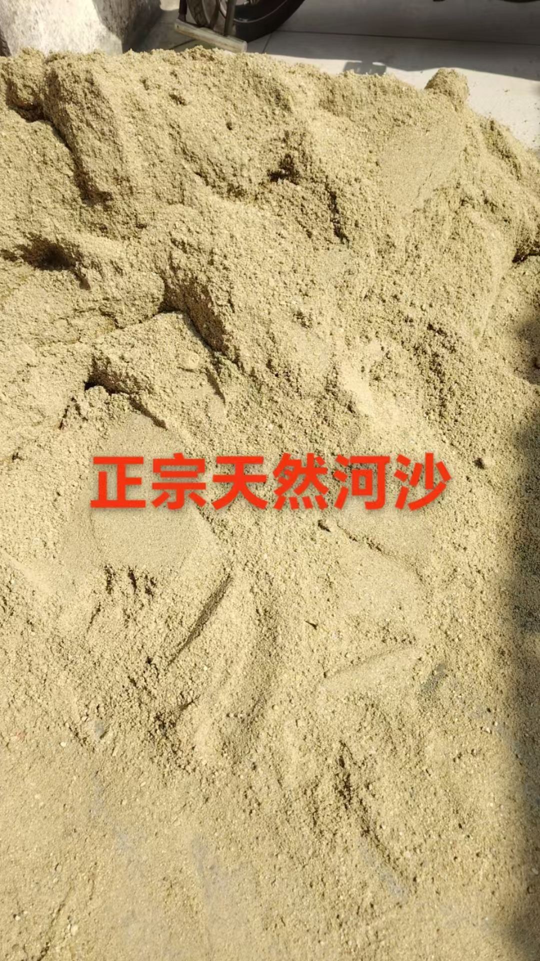 种植小叶簕竹河沙！每份二十五公斤！拍多少份！就是多少个25公斤