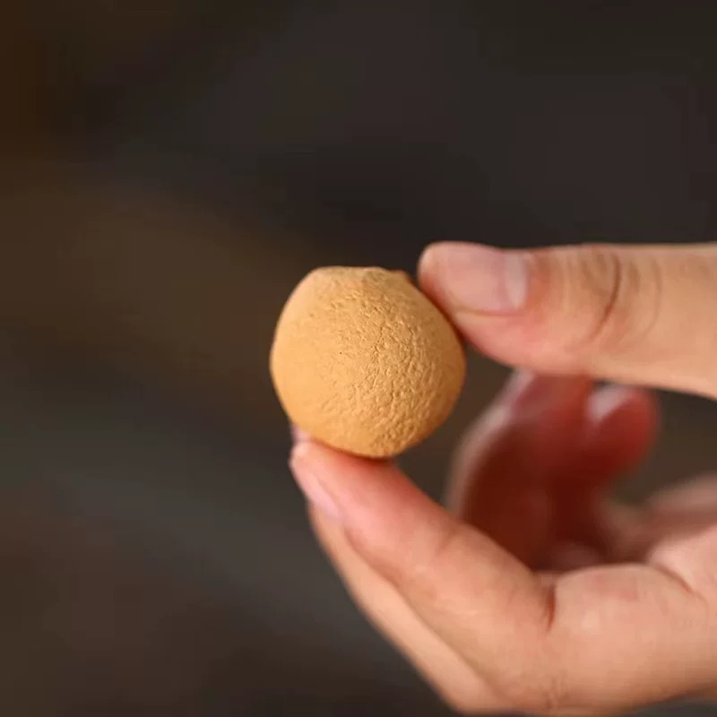 紫砂茶宠（桂圆一颗）