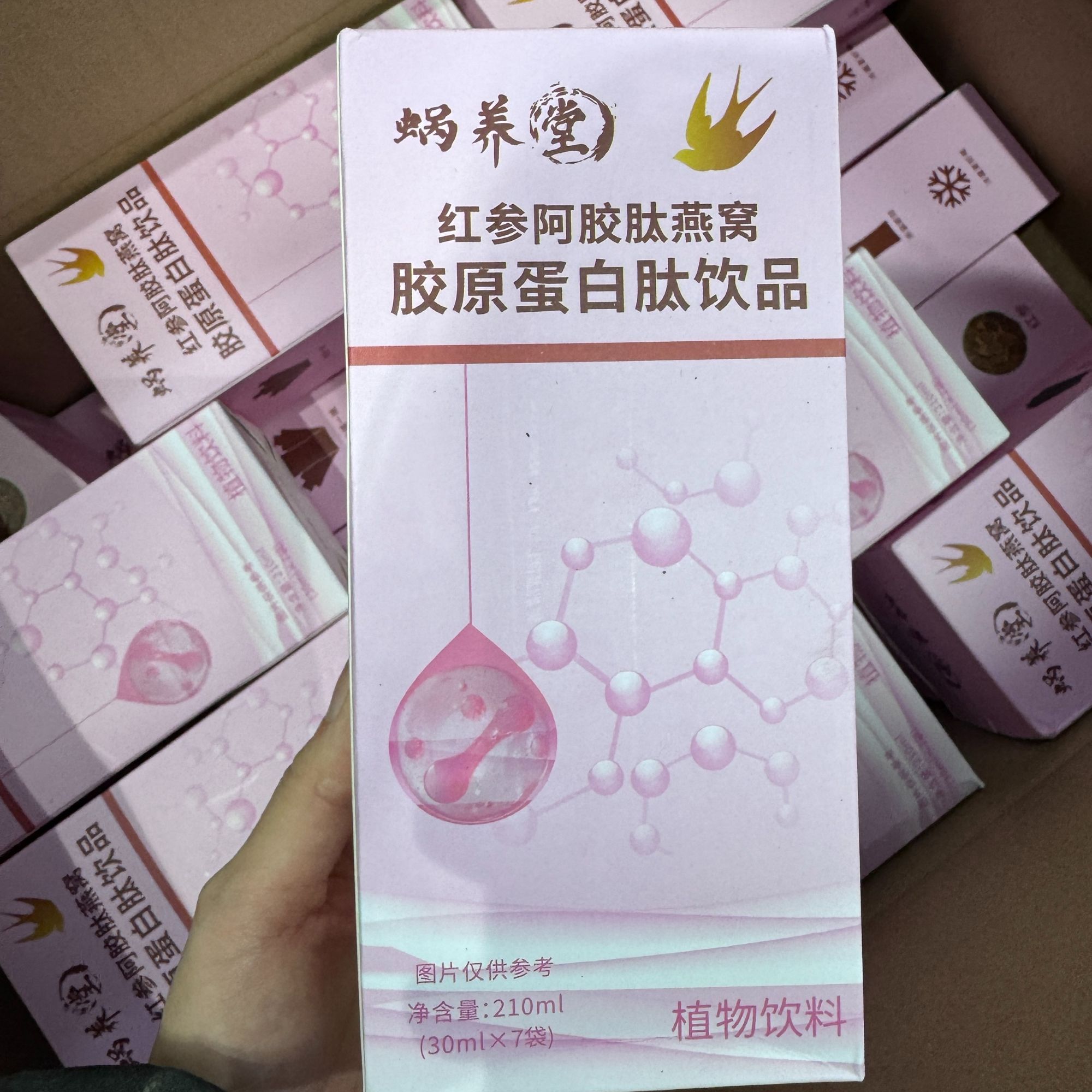 红参阿胶肽燕窝胶原蛋白肽植物饮品饮料