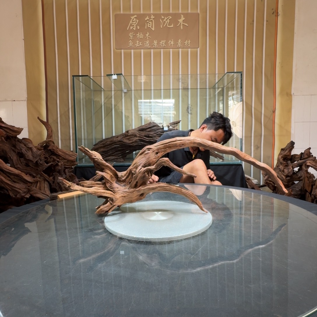 一***刻一物一拍鱼缸造景