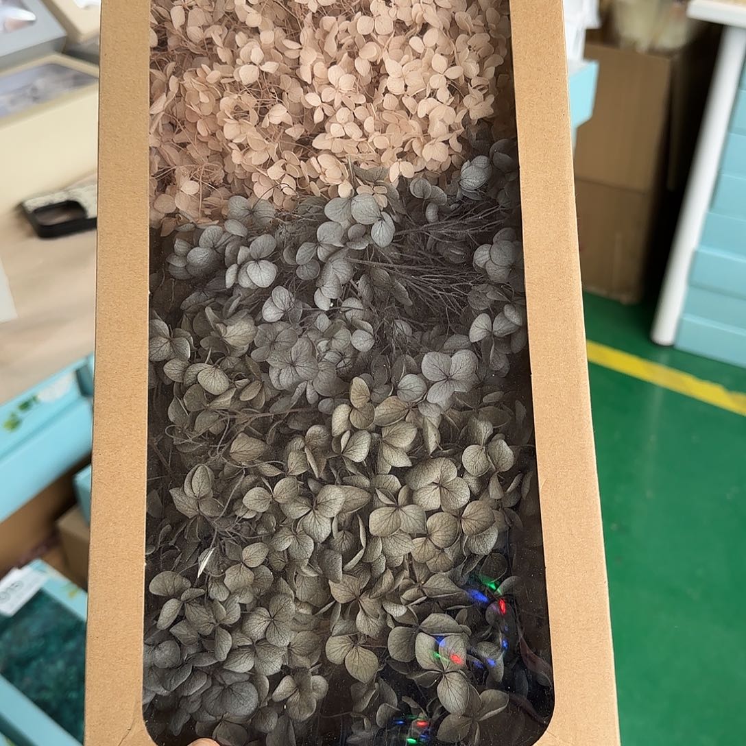 月***圆H25号绣球混色1盒