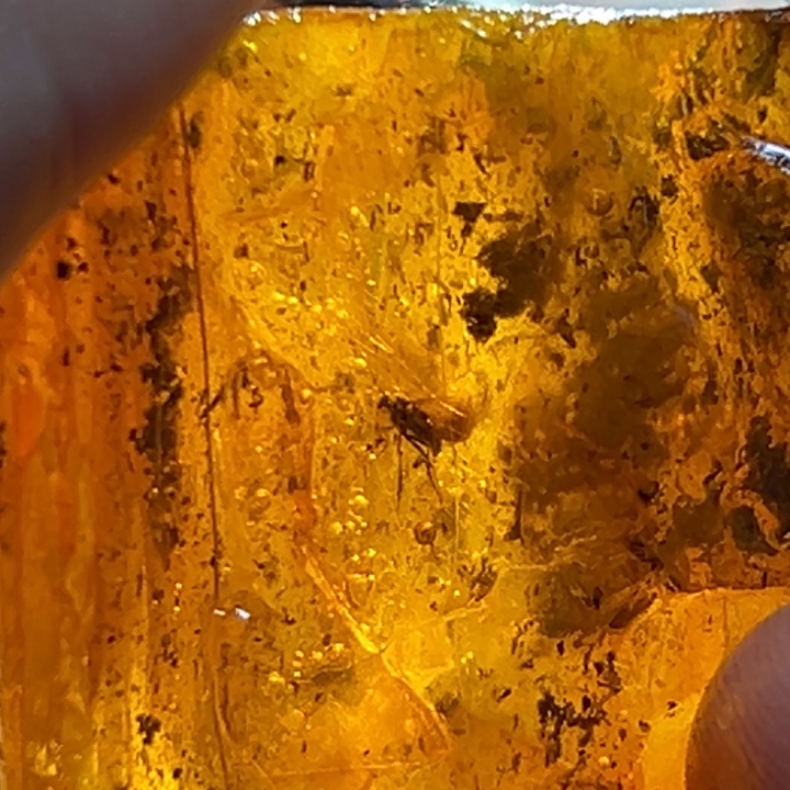 定制琥珀未镶嵌波罗的海琥珀