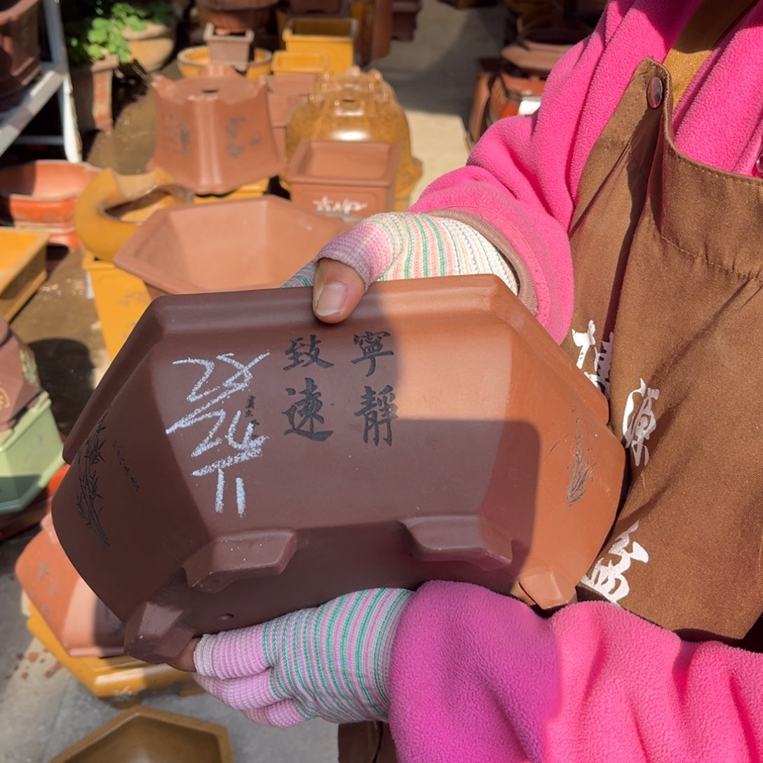 紫砂花盆盆景艺术