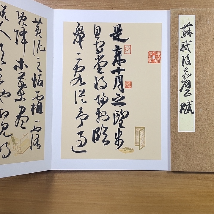 书法中书协会员作品