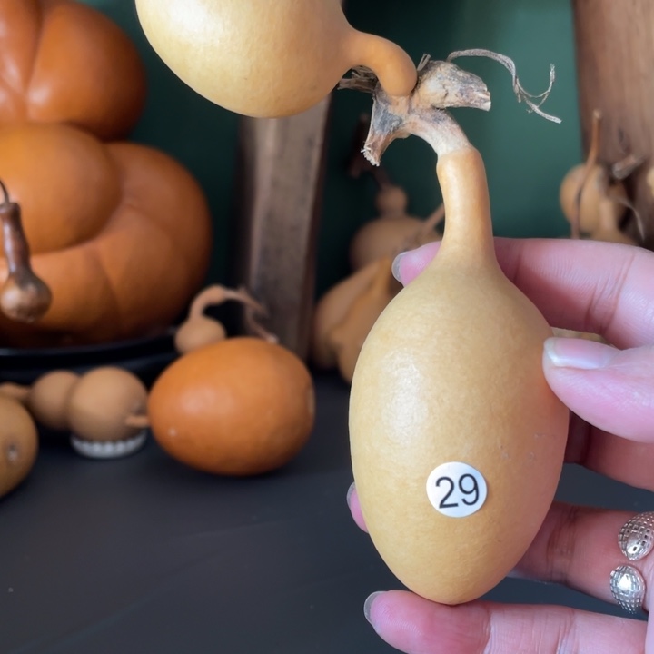 看好下单默认微瑕不保龙头