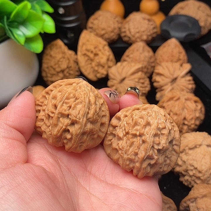 核桃三角白狮子头