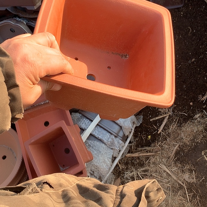 紫砂我要努力赚钱才好